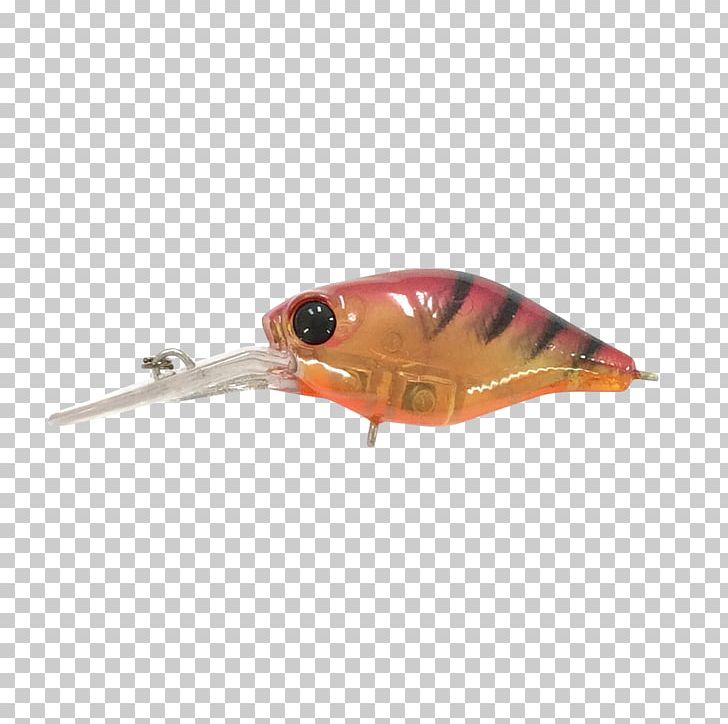 Fishing Baits & Lures PNG, Clipart, Bait, Fish, Fishing, Fishing Bait, Fishing Baits Lures Free PNG Download