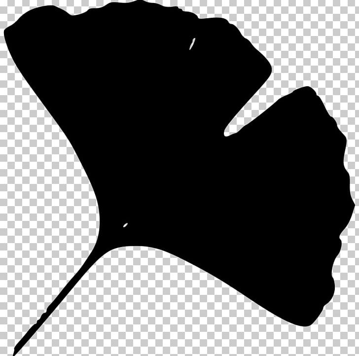 Ginkgo Biloba Leaf Desktop PNG, Clipart, Black, Black And White, Computer Icons, Desktop Wallpaper, Extract Free PNG Download