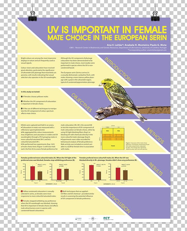 Poster Session Science Research PNG, Clipart, Academic Conference, Advertising, Area, Art, Behance Free PNG Download