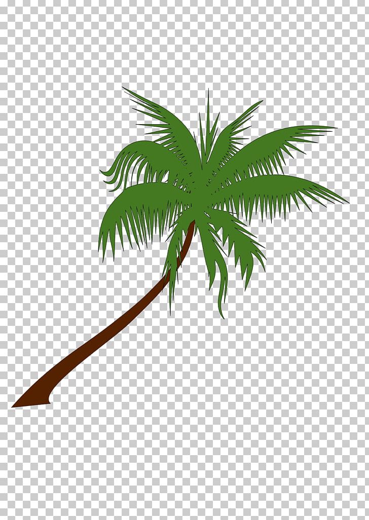 Arecaceae Tree PNG, Clipart, Arecaceae, Arecales, Branch, Clip Art, Coconut Free PNG Download