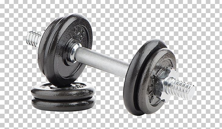 Dumbbell Physical Fitness Fitness Centre Exercise Equipment PNG, Clipart, Bench, Bosu, Crossfit, Dumbbell, Exercise Free PNG Download