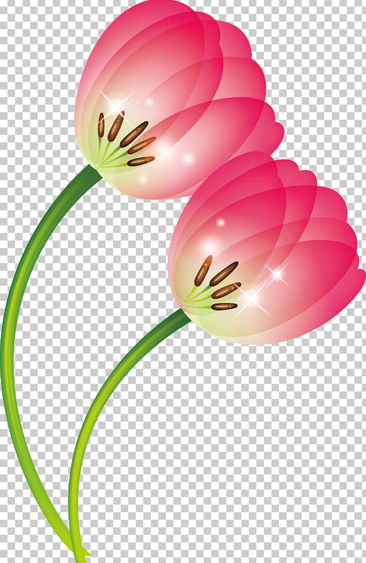 Tulip PNG, Clipart, Adobe Illustrator, Balloon, Computer Wallpaper, Corner Flower, Decorative Motifs Free PNG Download