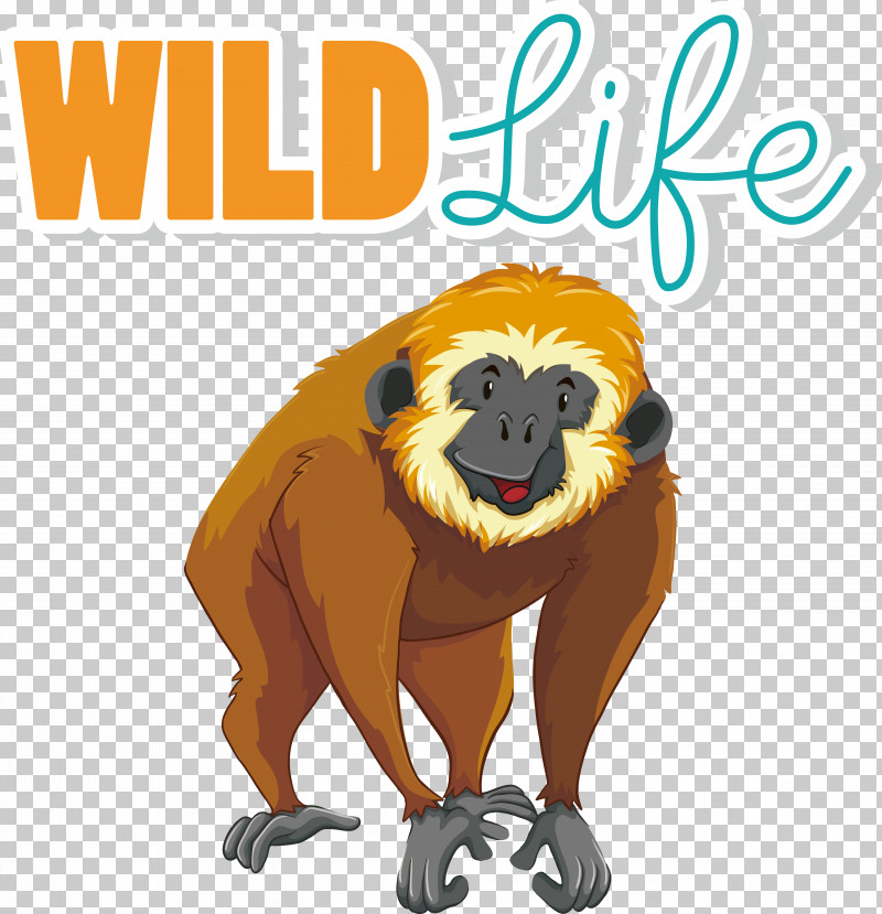 Gibbon Vector Drawing PNG, Clipart, Drawing, Gibbon, Vector Free PNG Download