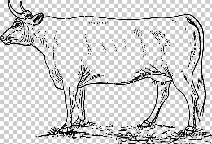 Ayrshire Cattle Sheep Goat Ox Dairy Cattle PNG, Clipart, Animal Figure, Animals, Black And White, Bull, Cattle Free PNG Download