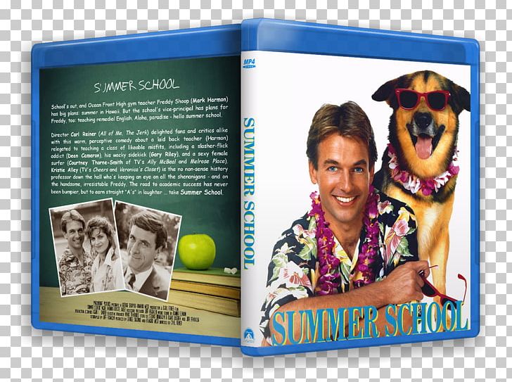 Dave Frazier Film Teacher School The Movie Database PNG, Clipart, Bad Teacher, Brochure, Education Science, Film, Ghost World Free PNG Download