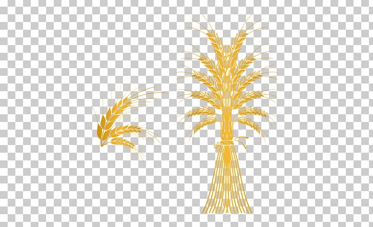 Gold Computer File PNG, Clipart, Barley, Commodity, Download, Drawing, Euclidean Vector Free PNG Download