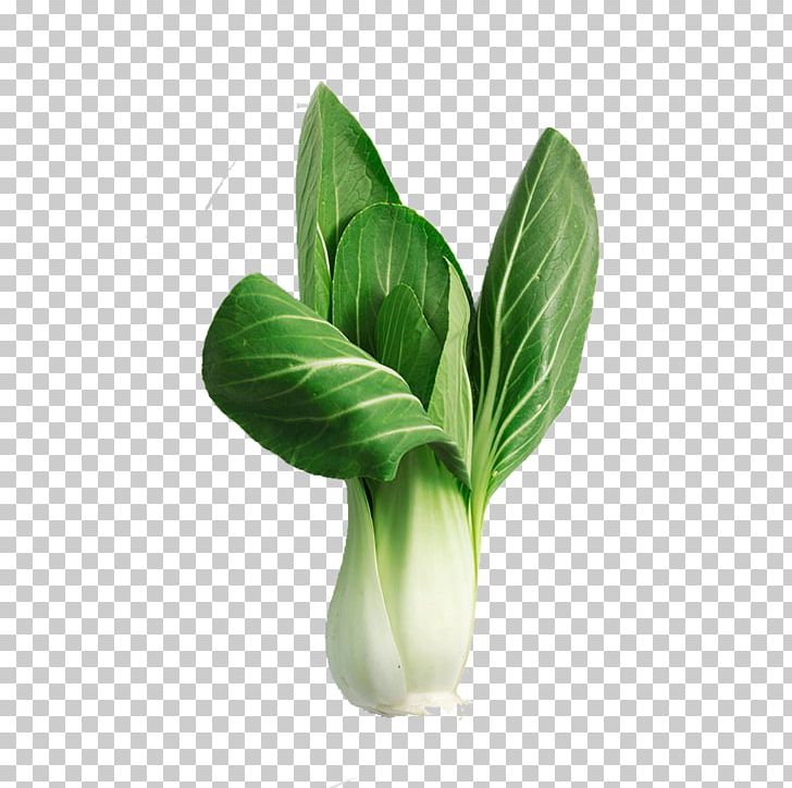 Red Cabbage Bok Choy Vegetable Chinese Broccoli PNG, Clipart, Bok Choy, Brassica Oleracea, Brassica Rapa, Broccoli, Cabbage Free PNG Download