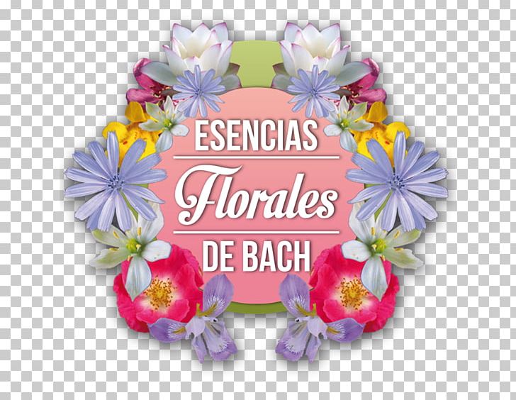 The Bach Flower Remedies Floral Design Therapy Medicine PNG, Clipart, Bach Flower Remedies, Cut Flowers, Edward Bach, Emotion, Fear Free PNG Download
