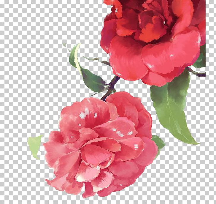 Watercolor: Flowers Painting PNG, Clipart, Carnation, Cartoon, Cut Flowers, Floribunda, Flower Free PNG Download