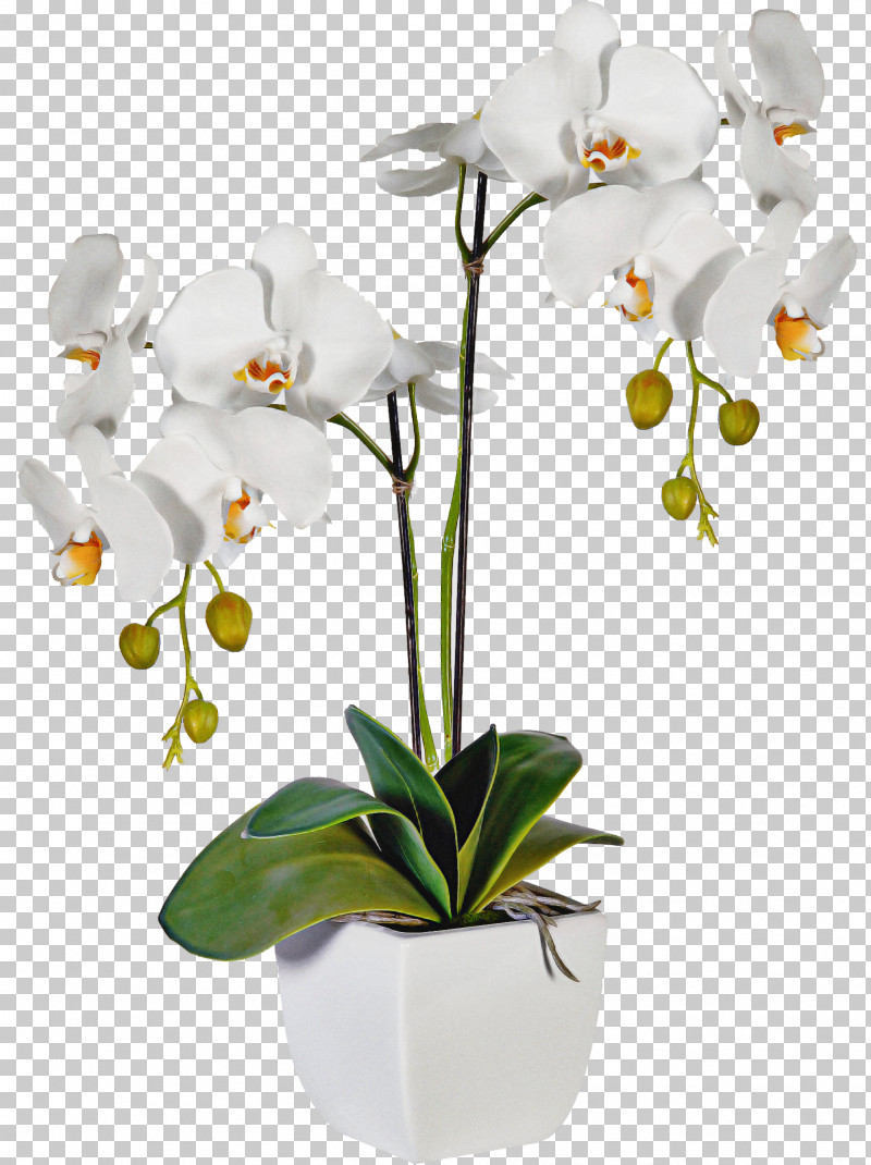 Artificial Flower PNG, Clipart, Artificial Flower, Cut Flowers, Dendrobium, Flower, Flowerpot Free PNG Download