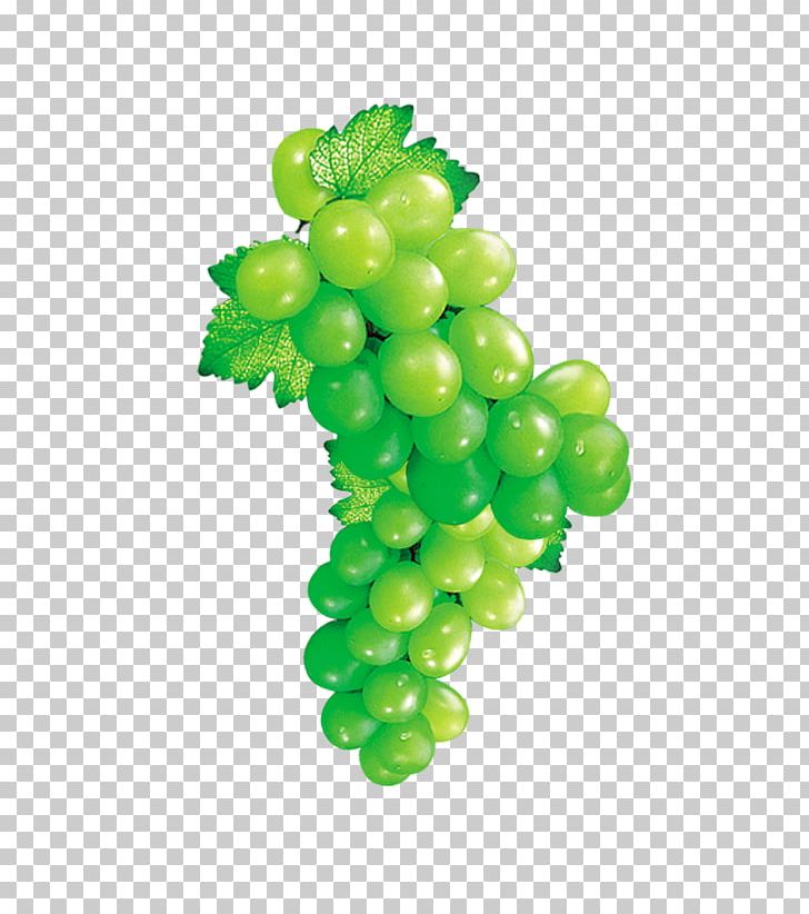 Grape Fruit Icon PNG, Clipart, Black Grapes, Download, Euclidean Vector, Food, Fruit Free PNG Download