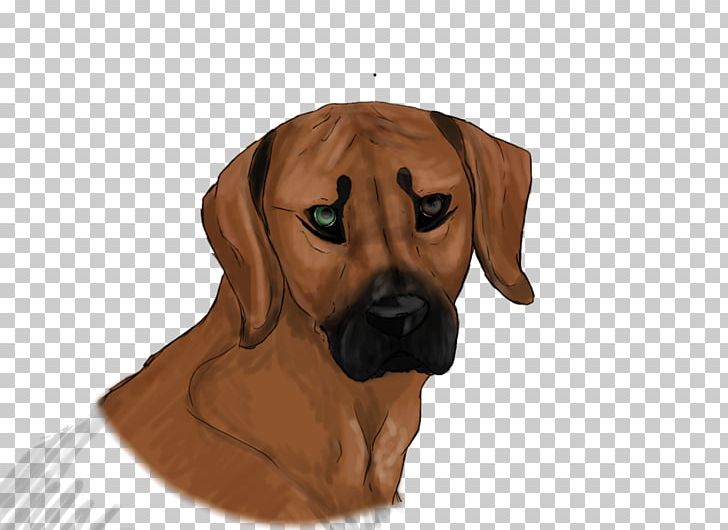 Redbone Coonhound Rhodesian Ridgeback Broholmer Puppy Dog Breed PNG, Clipart, Animals, Black And Tan Coonhound, Breed, Broholmer, Carnivoran Free PNG Download