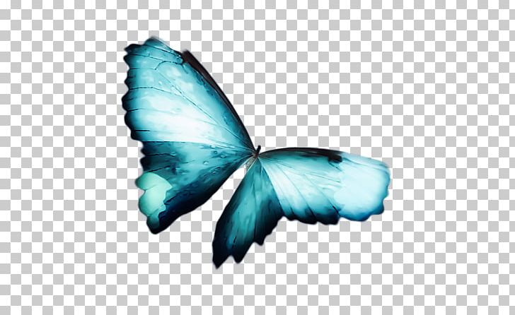 Butterfly Teal Turquoise White Moth PNG, Clipart, Arthropod, Butterflies And Moths, Butterfly, Designer, Duvet Free PNG Download