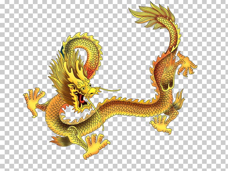 China Chinese Dragon Shenron Japanese Dragon PNG, Clipart, China ...