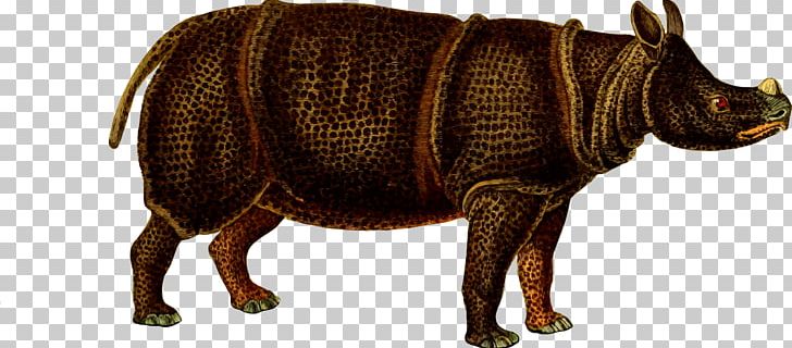 Javan Rhinoceros Giraffe Animal Wildlife PNG, Clipart, Animal, Animal Figure, Animals, Cattle Like Mammal, Conservation Free PNG Download