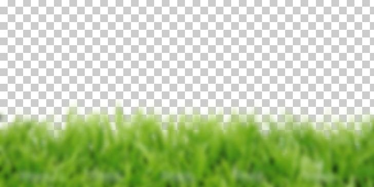 Lawn Stock Photography Fotolia PNG, Clipart, Artificial Turf, Computer Wallpaper, Crop, Depositphotos, Field Free PNG Download