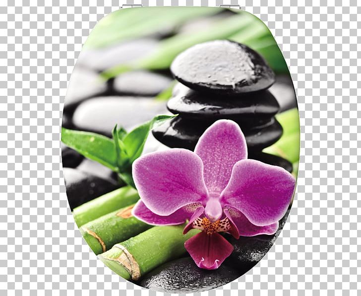 Bamboo Orchid Zen Rock Painting PNG, Clipart, Art, Bamboo, Bamboo Painting, Basalt, Flora Free PNG Download