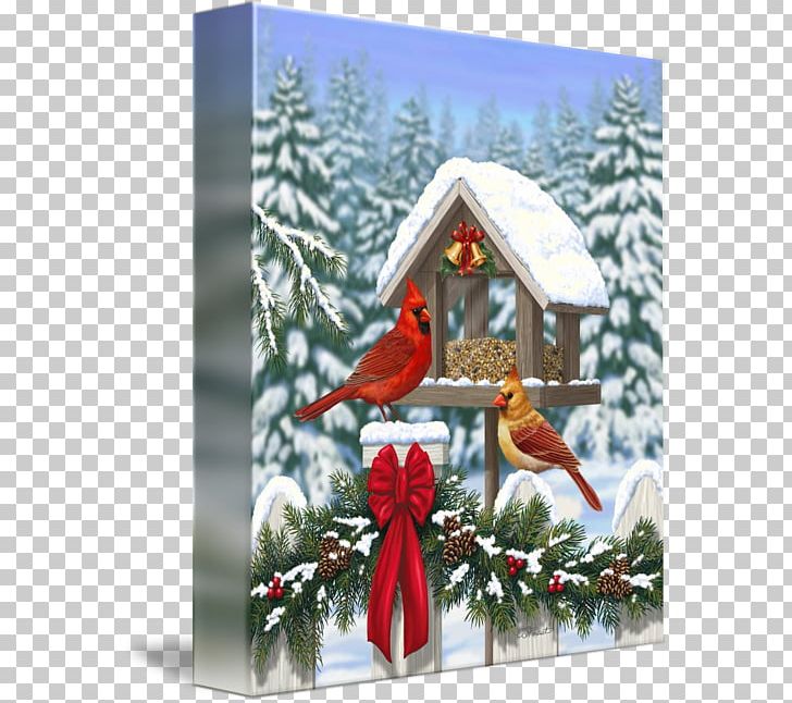 Christmas Tree 1964 St. Louis Cardinals Season Christmas Ornament PNG, Clipart, Art, Bird, Bird Feeders, Cardinal, Christmas Free PNG Download