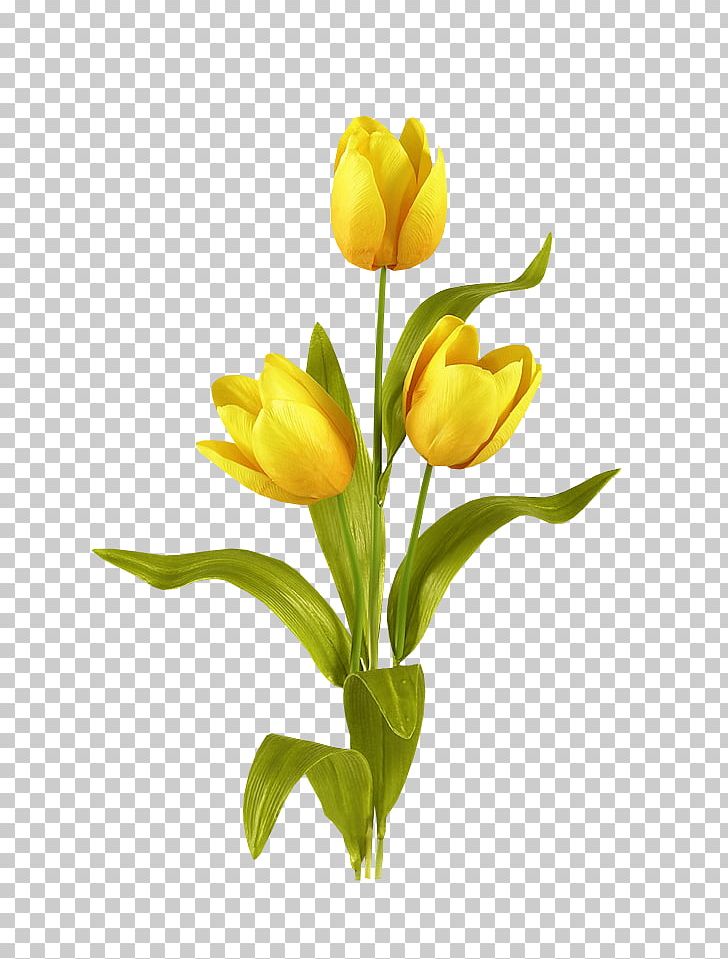 Tulip Mania Flower Bouquet Bulb PNG, Clipart, Artificial Flower, Bloom, Bud, Cut Flowers, Floral Design Free PNG Download