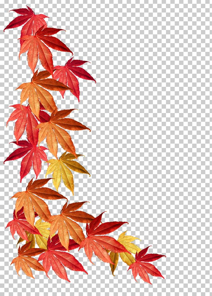 Borders And Frames Maple Leaf Autumn Leaf Color PNG, Clipart, Autumn, Autumn Leaf Color, Autumn Leaves, Borders, Borders And Frames Free PNG Download