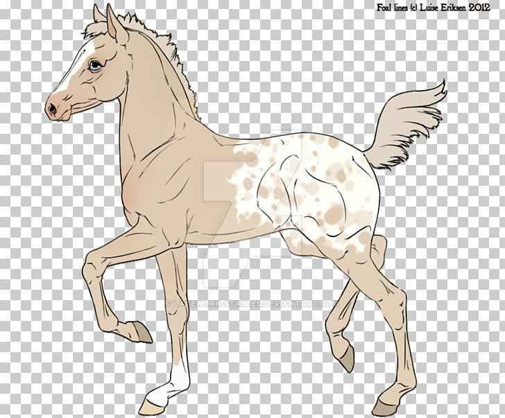 Mule Foal Bridle Stallion Colt PNG, Clipart, Animal Figure, Bridle, Calamity Jane, Colt, Deviantart Free PNG Download