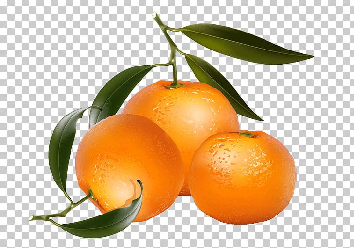 Tangerine Mandarin Orange PNG, Clipart, Auglis, Bitter Orange, Calamondin, Chenpi, Citric Acid Free PNG Download