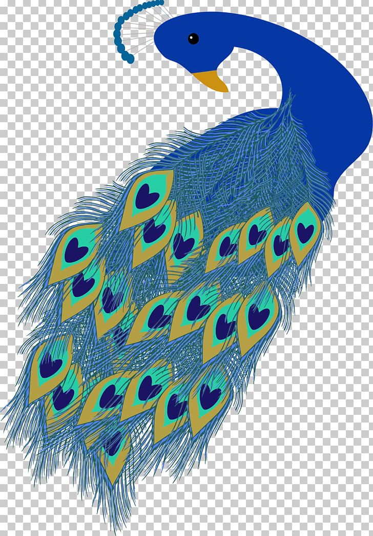 Peafowl PNG, Clipart, Animals, Beak, Bird, Computer Icons, Drawing Free PNG Download