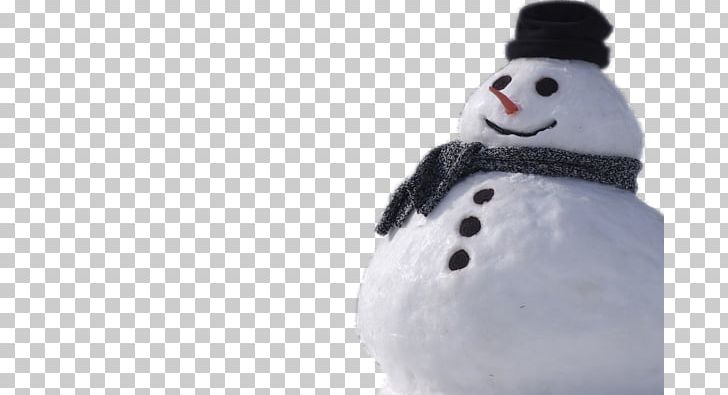 Snowman Desktop PNG, Clipart, Christmas, Computer Icons, Desktop Wallpaper, Frozen, Frozen Olaf Free PNG Download