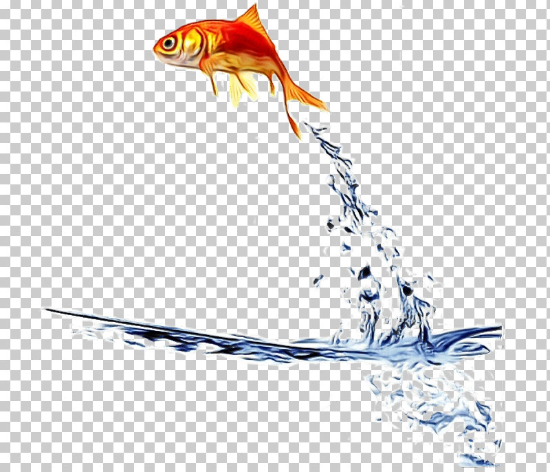 Fish Fish Goldfish Bony-fish PNG, Clipart, Bonyfish, Fish, Goldfish, Paint, Watercolor Free PNG Download
