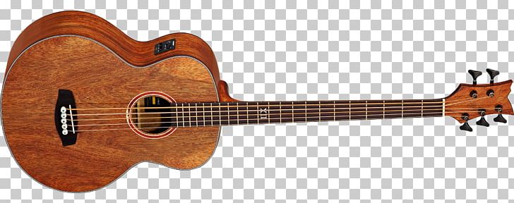 Acoustic Bass Guitar Steel-string Acoustic Guitar PNG, Clipart, Acoustic Bass Guitar, Amancio Ortega, Cuatro, Guitar Accessory, Objects Free PNG Download