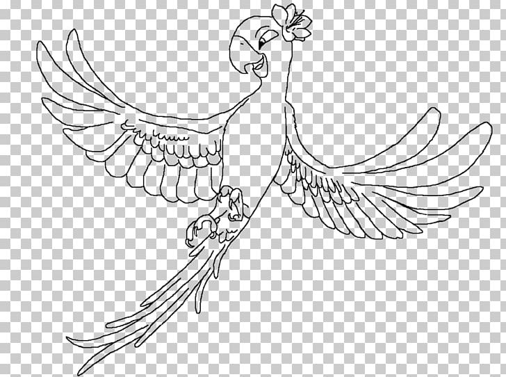 Line Art Blu Drawing Painting Rio PNG, Clipart, Art, Artwork, Beak, Bird, Black And White Free PNG Download