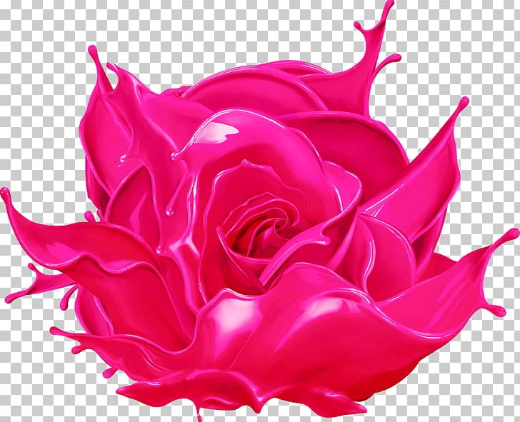 Flower Garden Roses Paint PNG, Clipart, Art, Closeup, Color, Colorful, Cut Flowers Free PNG Download