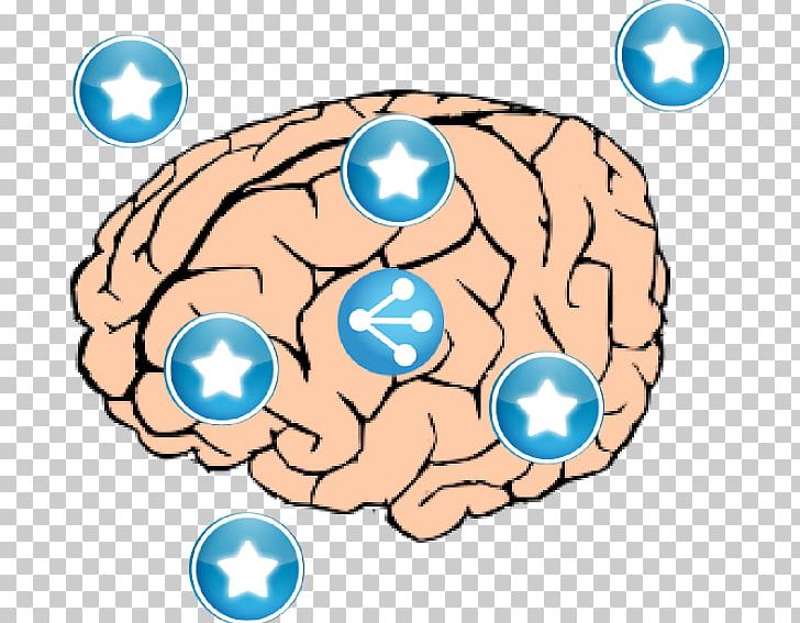 Human Brain Drawing PNG, Clipart, Area, Brain, Computer Icons, Desktop Wallpaper, Drawing Free PNG Download