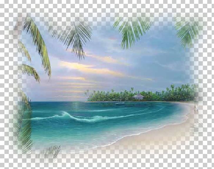 Miami Beach Gfycat Shore PNG, Clipart, Animated Film, Arecales, Beach, Calm, Caribbean Free PNG Download