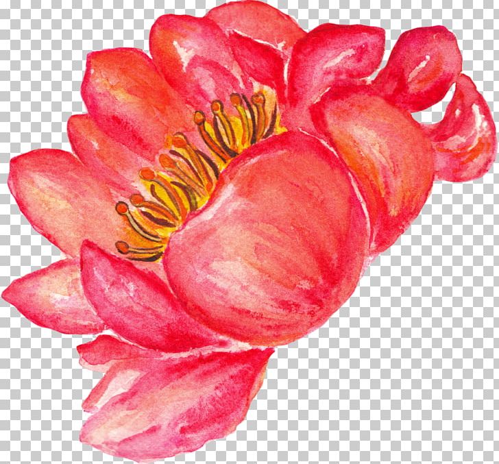 Watercolor Painting Flower PNG, Clipart, Color, Download, Floral Design, Flower, Flowering Plant Free PNG Download