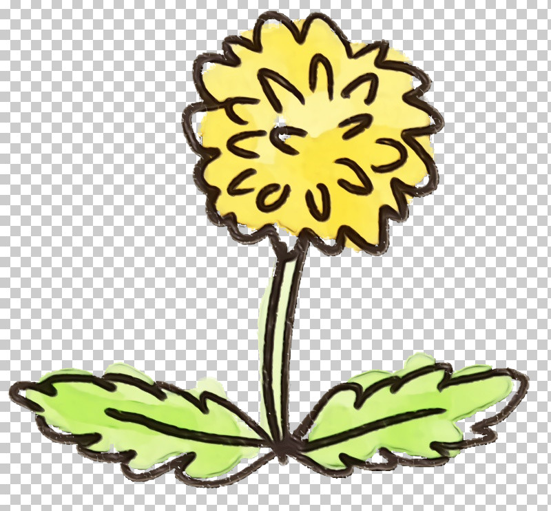Sunflower PNG, Clipart, Cut Flowers, Flower, Herbaceous Plant, Paint, Plant Free PNG Download