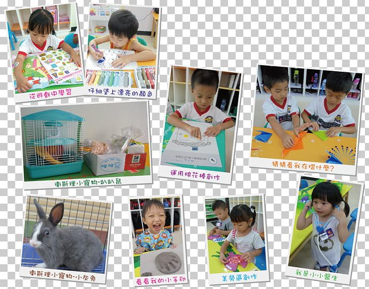 Taoyuan County Wesleyan Private Kindergartens Toddler Child Learning PNG, Clipart, Child, Cognition, Collaboration, Collage, Kindergarten Free PNG Download