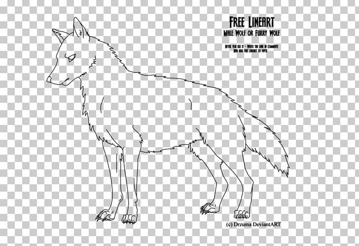 Line Art Furry Fandom Drawing Gray Wolf Cartoon PNG, Clipart, Angle, Area, Art, Artwork, Black And White Free PNG Download