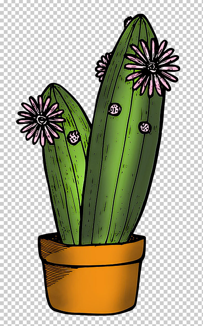 Cactus PNG, Clipart, Biology, Cactus, Caryophyllales, Echinocereus, Flower Free PNG Download