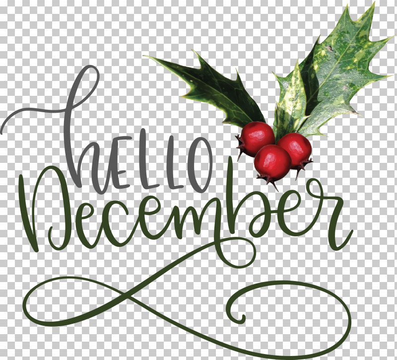 Hello December Winter December PNG, Clipart, Biology, December, Fruit, Grape, Hello December Free PNG Download