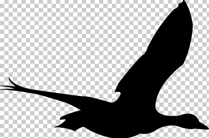Bird Flight Goose PNG, Clipart, Animals, Animal Silhouettes, Art, Beak, Bird Free PNG Download