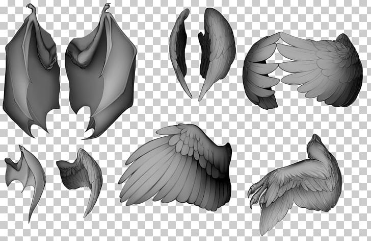 Closed Wing Bird /m/02csf PNG, Clipart, Base, Bird, Black And White, Closed Wing, Com Free PNG Download
