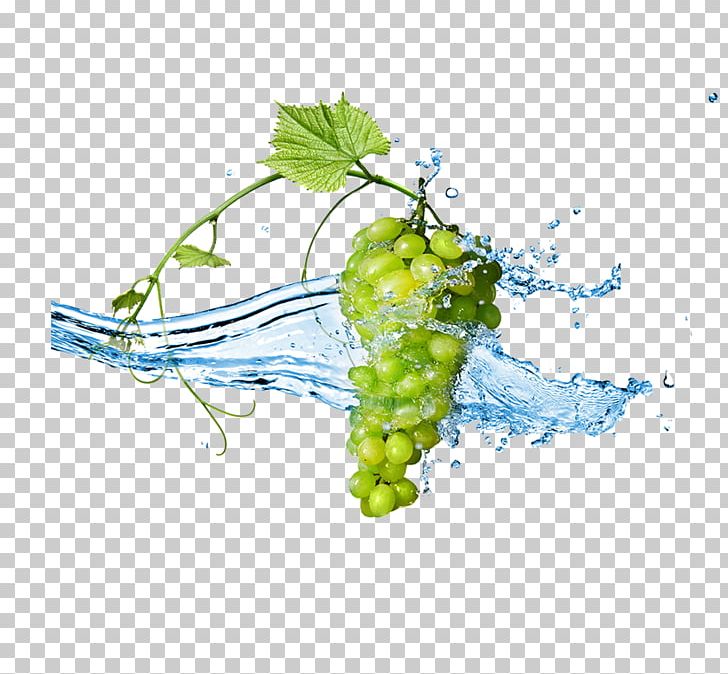 Grape Stock Photography Fruit Berry PNG, Clipart, Alamy, Background Green, Berry, Food, Fruit Free PNG Download
