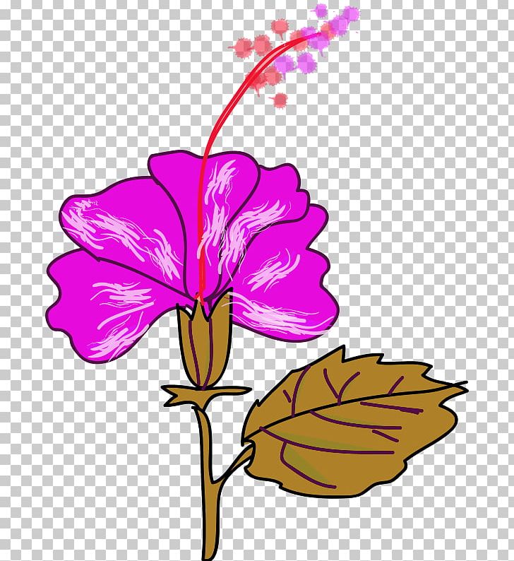 Flower Hawaiian Hibiscus Shoeblackplant PNG, Clipart, Botany, Branch, Color, Common Hibiscus, Cut Flowers Free PNG Download