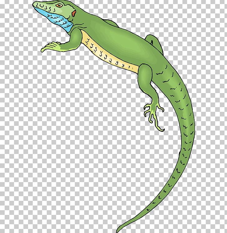 Lizard Reptile PNG, Clipart, Amphibian, Animal Figure, Desktop Wallpaper, Download, Fauna Free PNG Download
