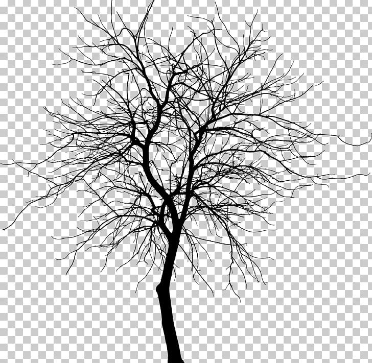 Tree Silhouette Branch Drawing PNG, Clipart, Black And White, Branch, Clip Art, Desktop Wallpaper, Drawing Free PNG Download