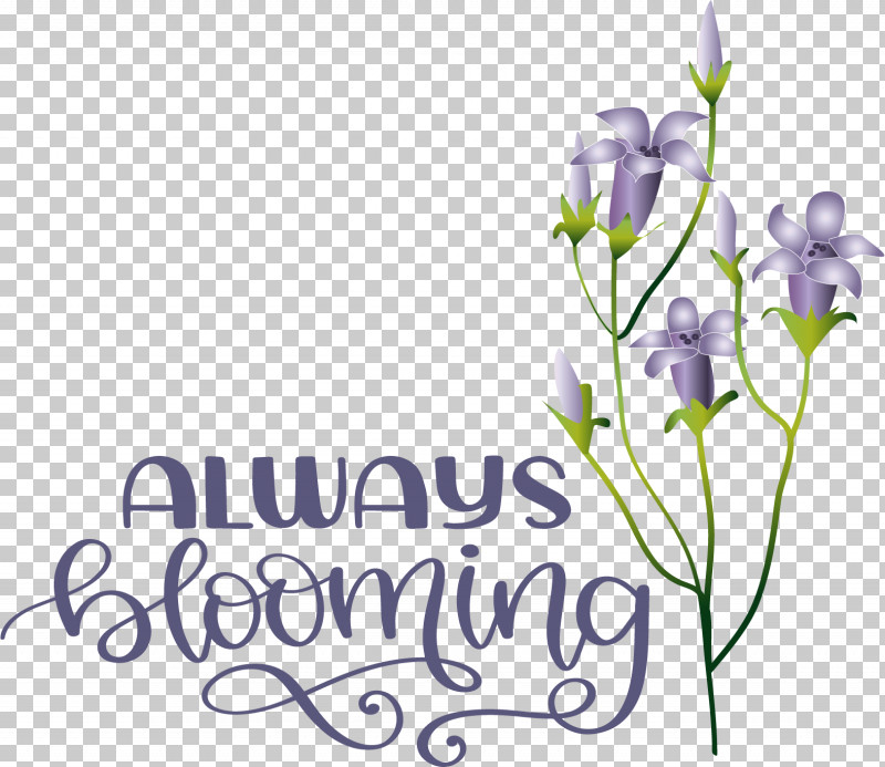 Floral Design PNG, Clipart, Biology, Cut Flowers, Floral Design, Flower, Lavender Free PNG Download