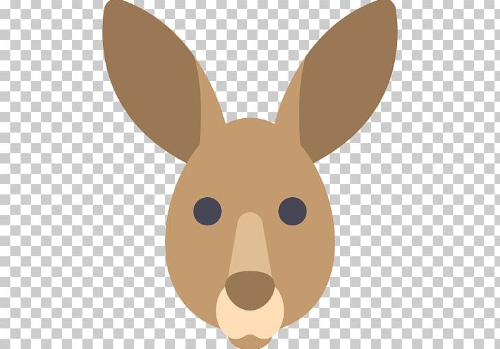 Joey Kangaroo Computer Icons Canguru Hostel PNG, Clipart, Animals, Canguru Hostel, Dog Like Mammal, Domestic Rabbit, Easter Bunny Free PNG Download