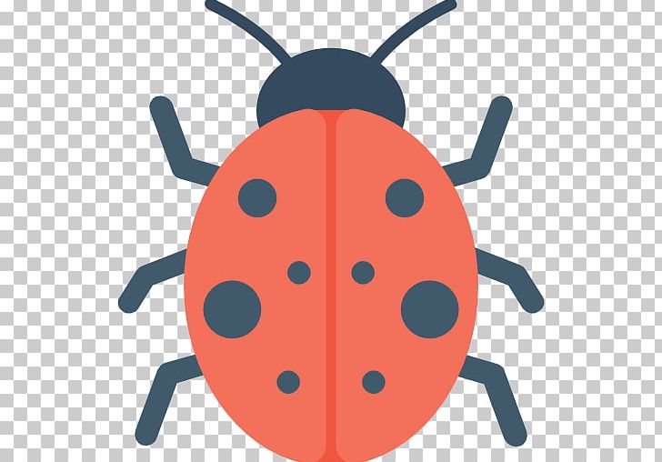 Ladybird Computer Icons Beetle PNG, Clipart, Animals, Artwork, Beetle, Beetle Insect, Cartoon Free PNG Download