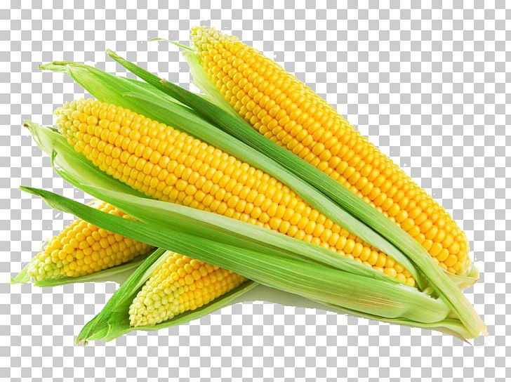 Maize Cereal Agriculture Corn Oil Cornbread PNG, Clipart, Agriculture, Canjica, Cereal, Commodity, Cornbread Free PNG Download